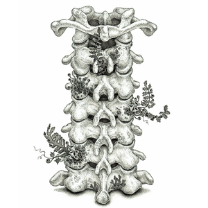 无尽XXXx动漫3D同人小说
