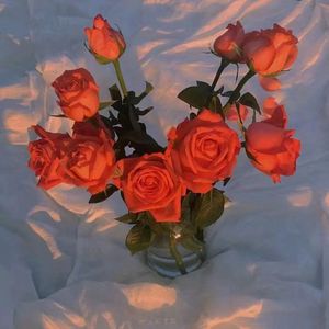 无尽XXXx动漫3D同人小说
